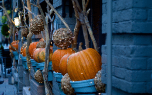 ハロウィンパーティー開催！仮装でご来店の方にドリンクサービス